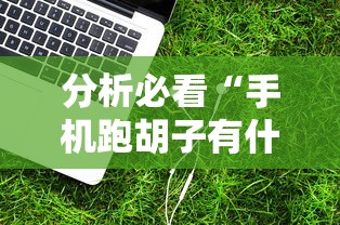 分析必看“手机跑胡子有什么技巧”详细开挂教程