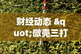 财经动态 "微壳三打哈可以开挂吗”(透视)其实真的有挂